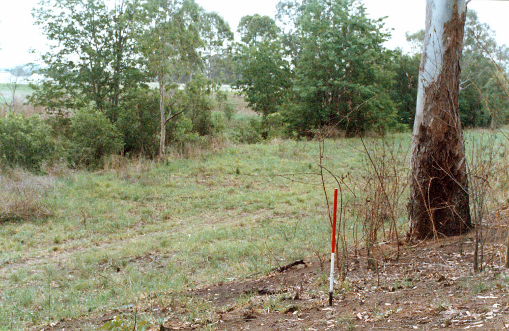 View towards Bundamba Racecourse, Bundamba, Ipswich, 1991
