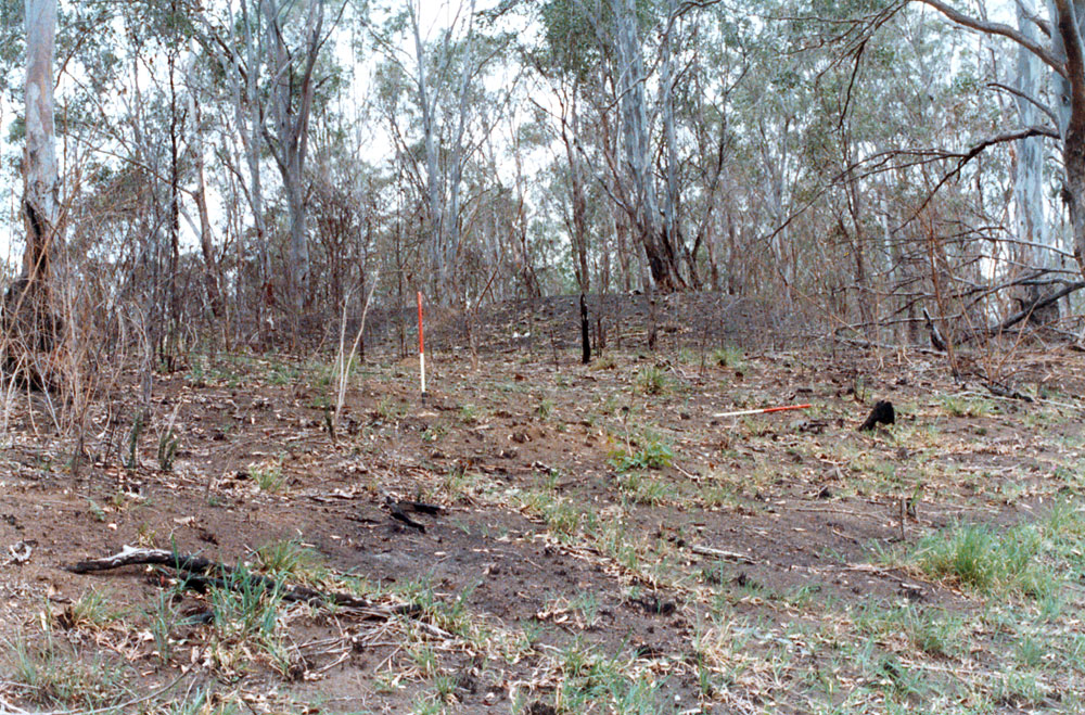 Looking up hill away from Bundamba Creek, Bundamba, Ipswich, 1991