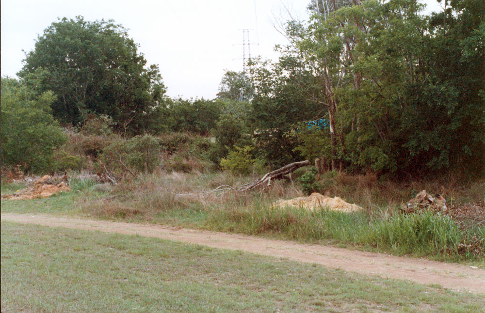 Racecourse side of Bundamba Creek, Bundamba, Ipswich, 1991