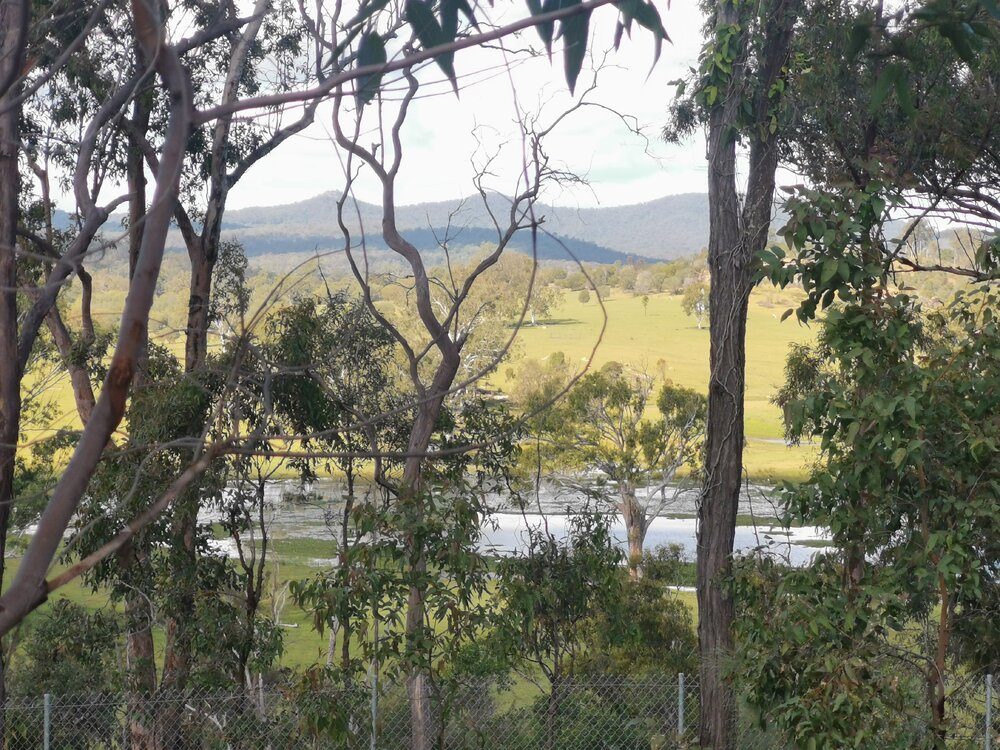 View from Spear Lily Park, 2021