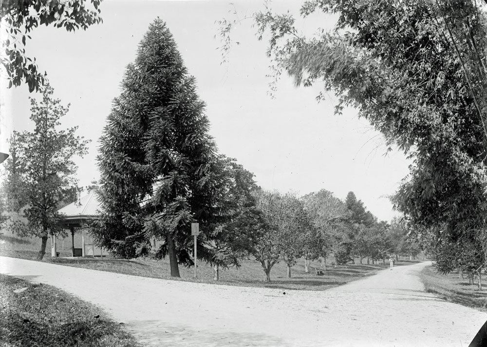 Queen&rsquo;s Park drive and band rotunda, Ipswich, c.1900's