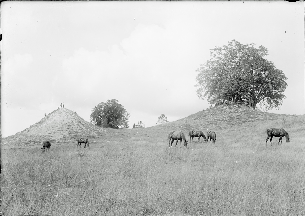 Limestone Hill, Queen&rsquo;s Park, 1899