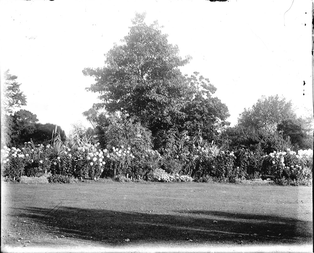 Unknown garden, thought to be Ipswich region, c.1900