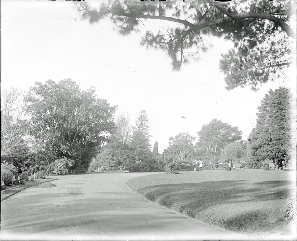 Thought to be Queens Park, Ipswich, c.1900 