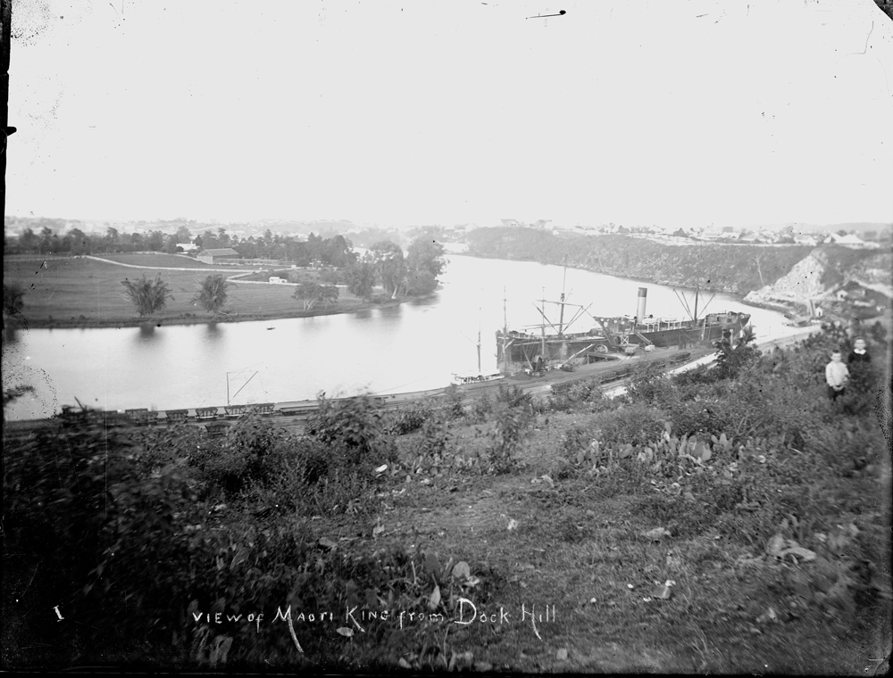 View of Maori King from Dock Hill, Brisbane, 1900