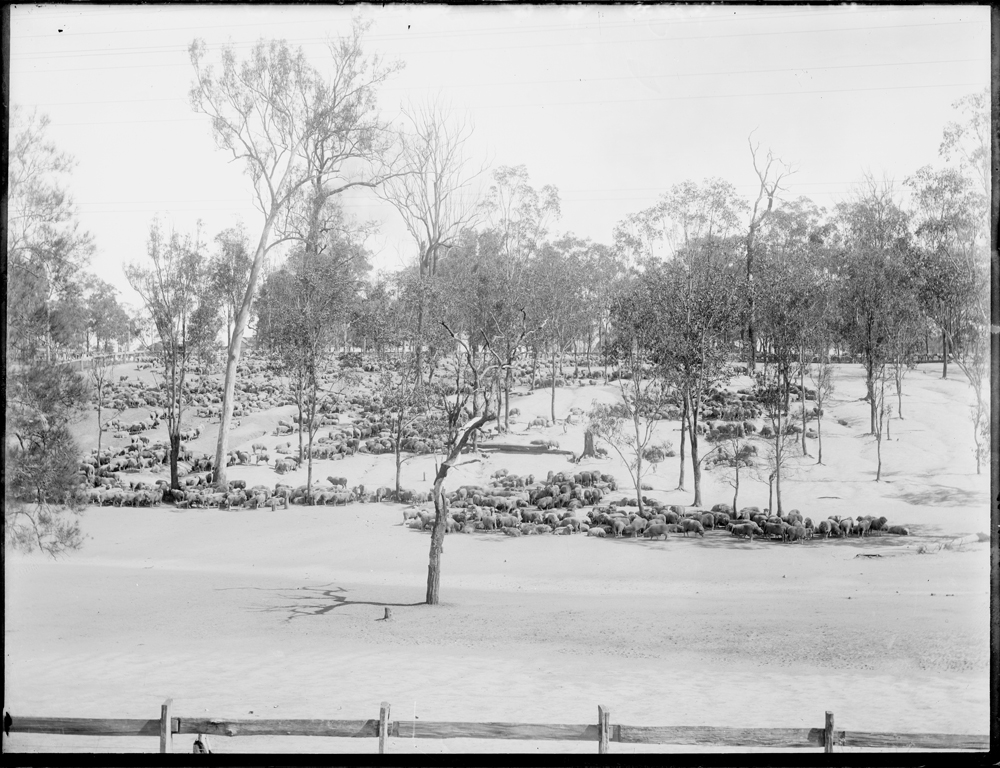 Unknown location, possibly Redbank, c.1900s