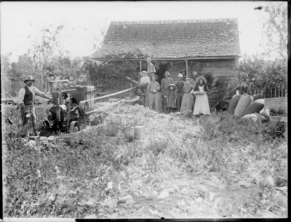 Unknown family husking maize in front of house on farm, Laidley, 1900s