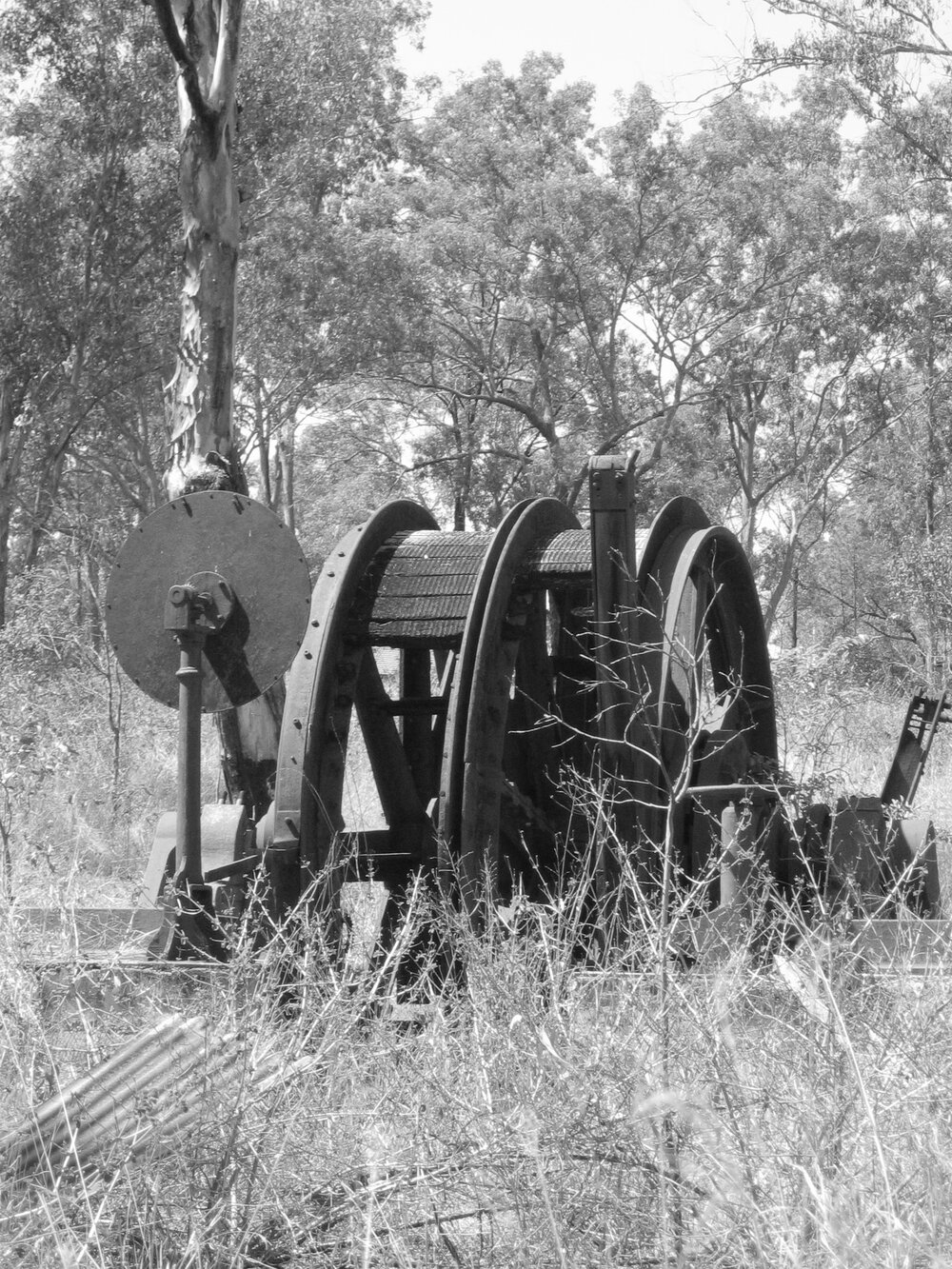 "Jessie Brown" Wheel Engine, Ella Street, Blackstone, 2004