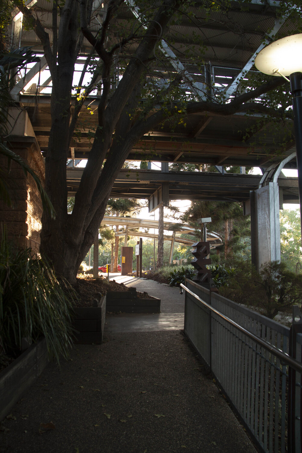 Bradfield Bridge, from Riverheart Parklands, Ipswich, 2017