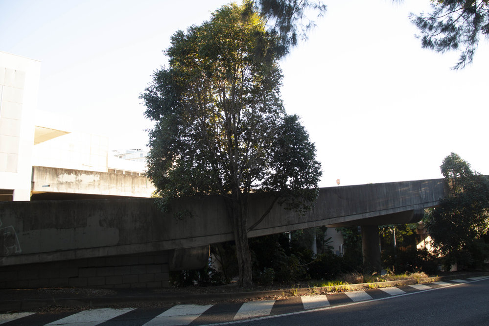 Bremer Street, Ipswich, 2017