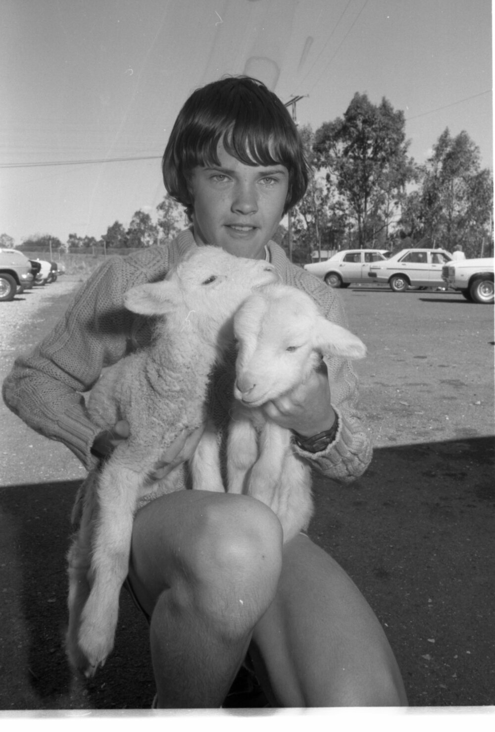 Boy with two Lambs, Ipswich, August 1980