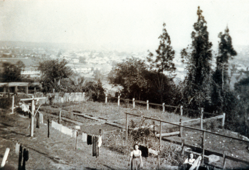 Ipswich Girls' Grammar School vegetable gardens and washing lines looking from 4-5 dormitory, c. 1947