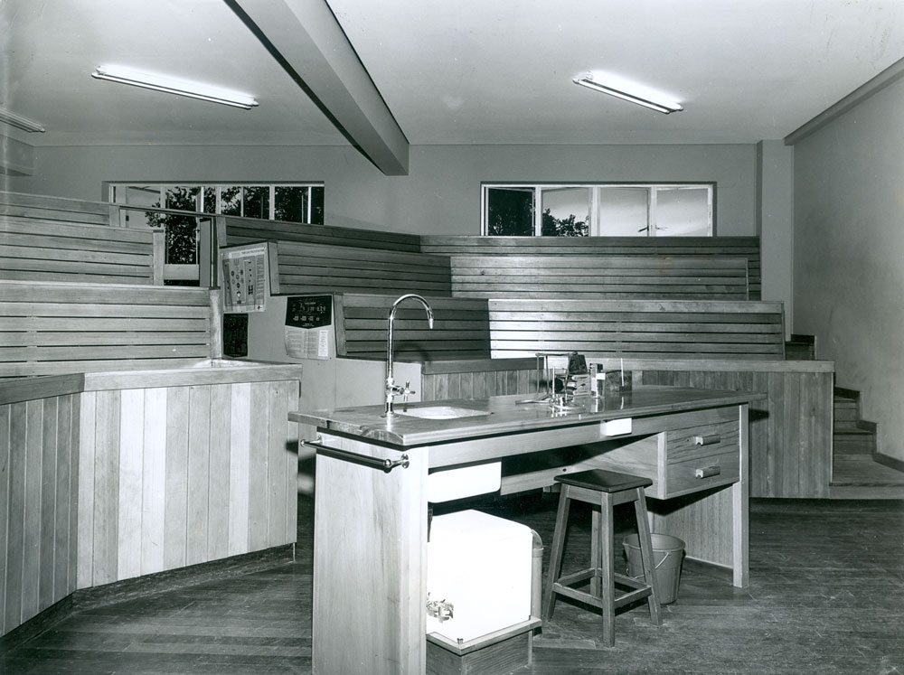 Ipswich Girls' Grammar School, science laboratory, c.1965