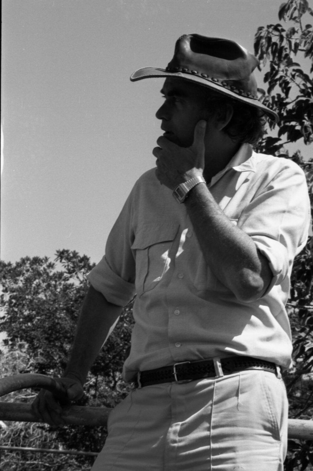 Churchill Cattle Sales, Ipswich, September 1981