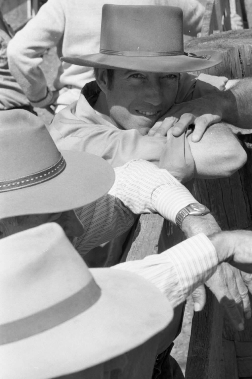 Churchill Cattle Sales, Ipswich, September 1981