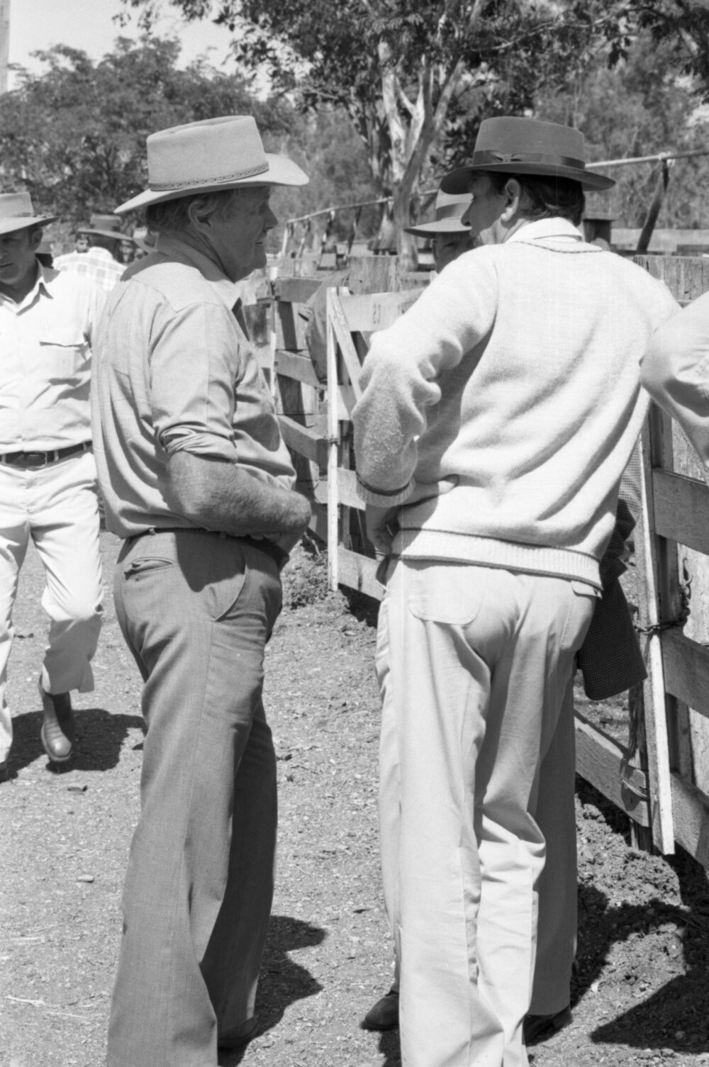Churchill Cattle Sales, Ipswich, September 1981