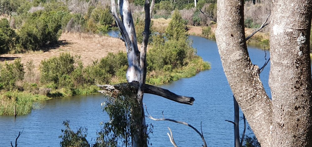 Kholo Gardens - River View, 2020