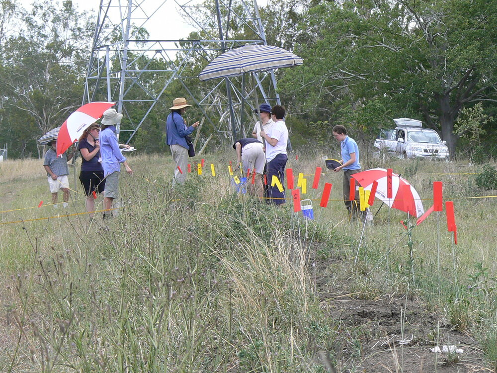 Bremer Mills Archaeological Survey, 2007