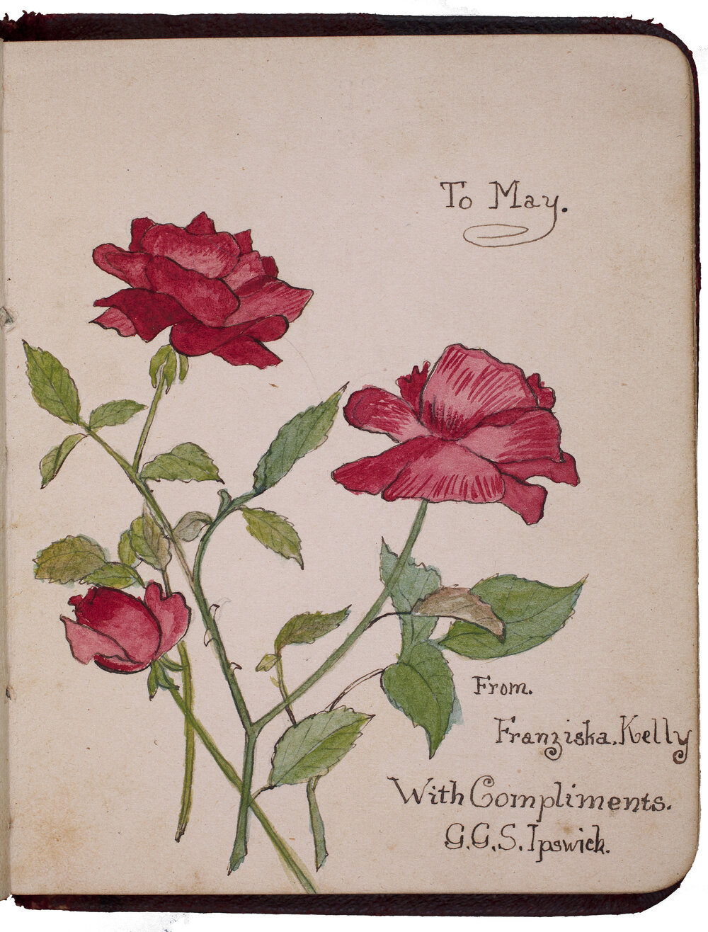 A page from May Cribb's IGGS autograph book c.1910-1914