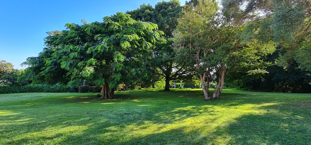 Claremont, Milford Street, Ipswich, 2022