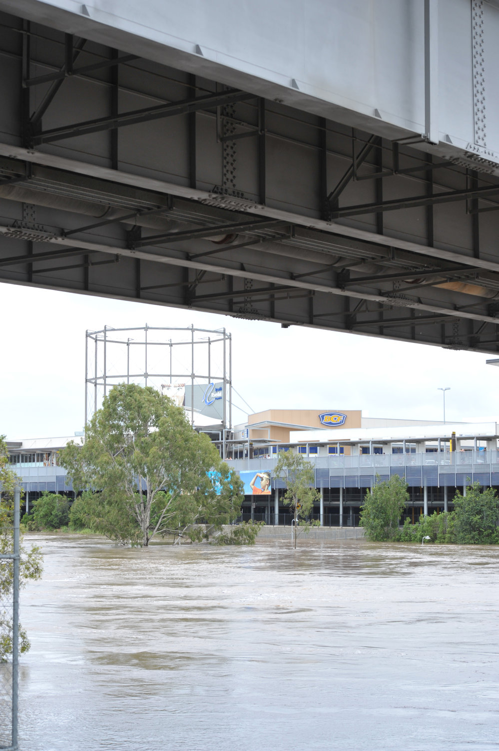 Bremer River in flood, January 2013
