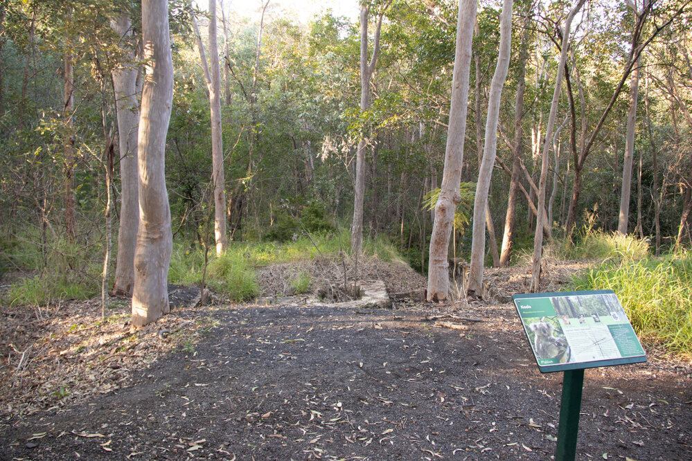 Denmark Hill Conservation Reserve, Ipswich, September 2022