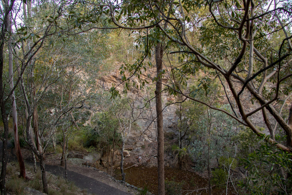 Denmark Hill Conservation Reserve, Ipswich, September 2022
