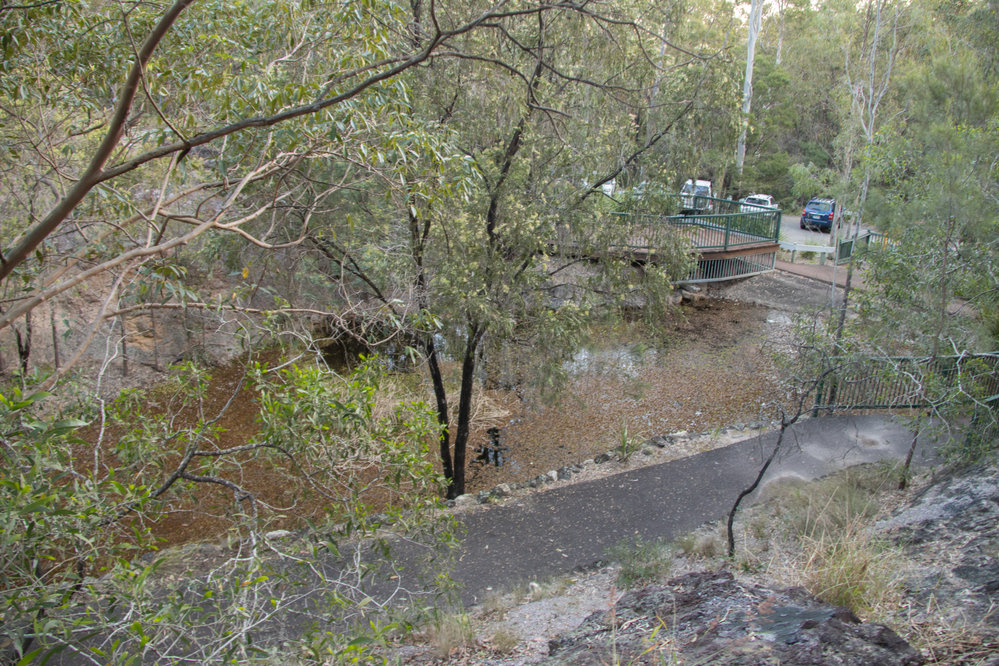 Denmark Hill Conservation Reserve, Ipswich, September 2022
