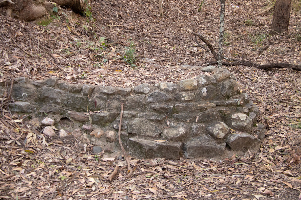 Denmark Hill Conservation Reserve, Ipswich, September 2022