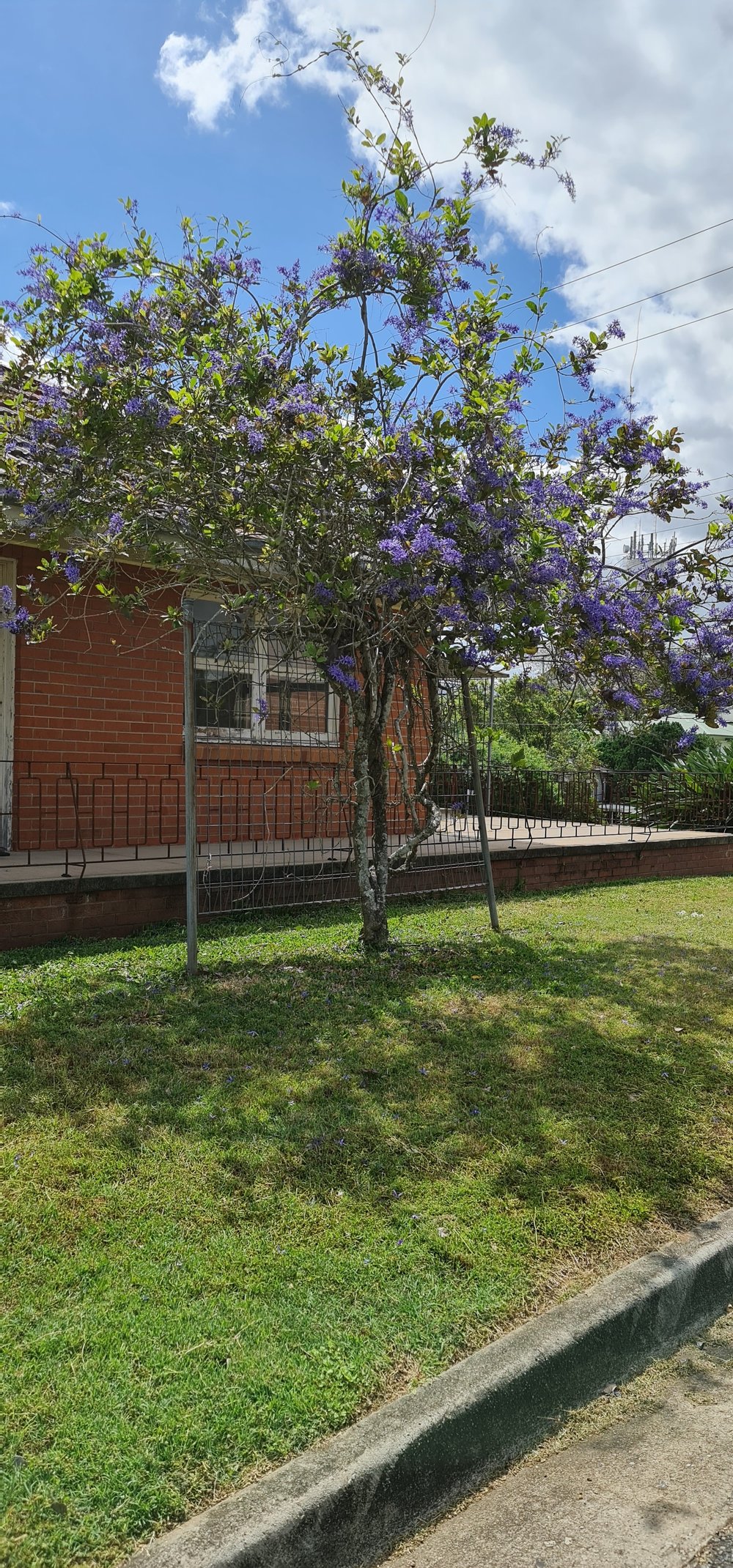 Griffith Road No 3 , Eastern Heights, 2022