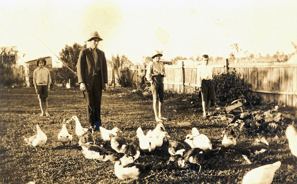 Bevan, Edwin, Dick and Alan Steele, in family backyard of Bridge Street, Booval, 1930