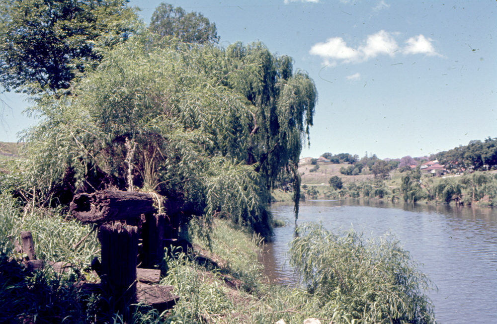 Remains of an old wharf, Town Reach of the northern bank of the Bremer River, Ipswich, c.1970