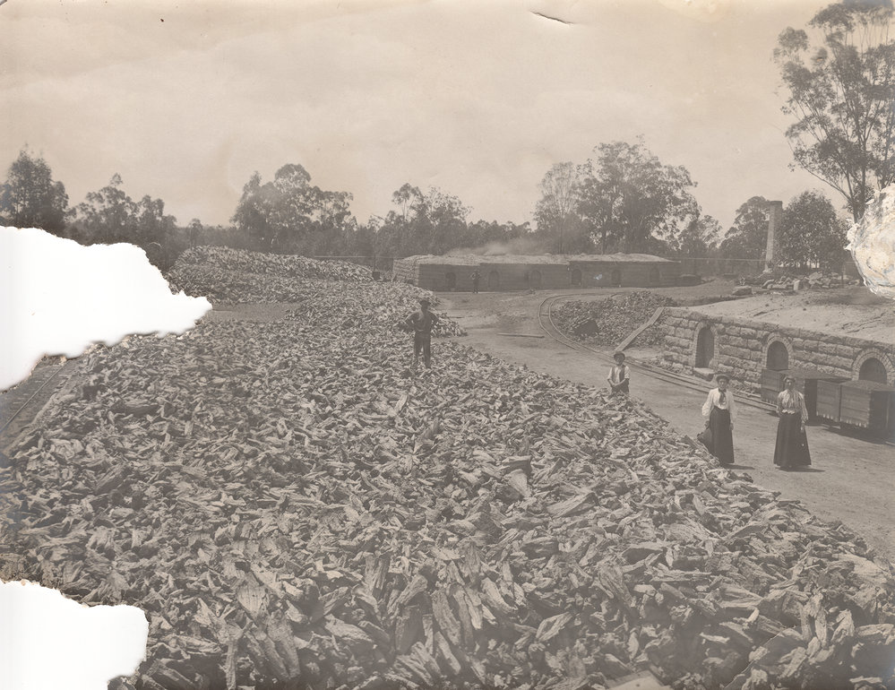 Coke ovens and stacks of coke ready for market at Rothwell Haigh, Tivoli, 1905