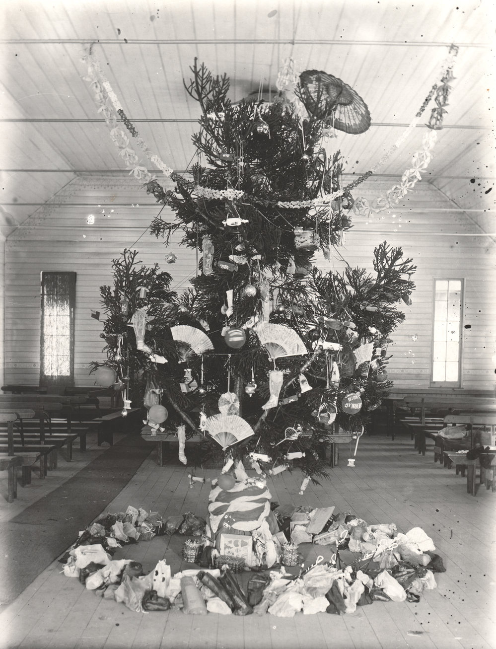 Thought to be T. C. Beirne &amp; Co. Christmas Tree, Ipswich, 1900s