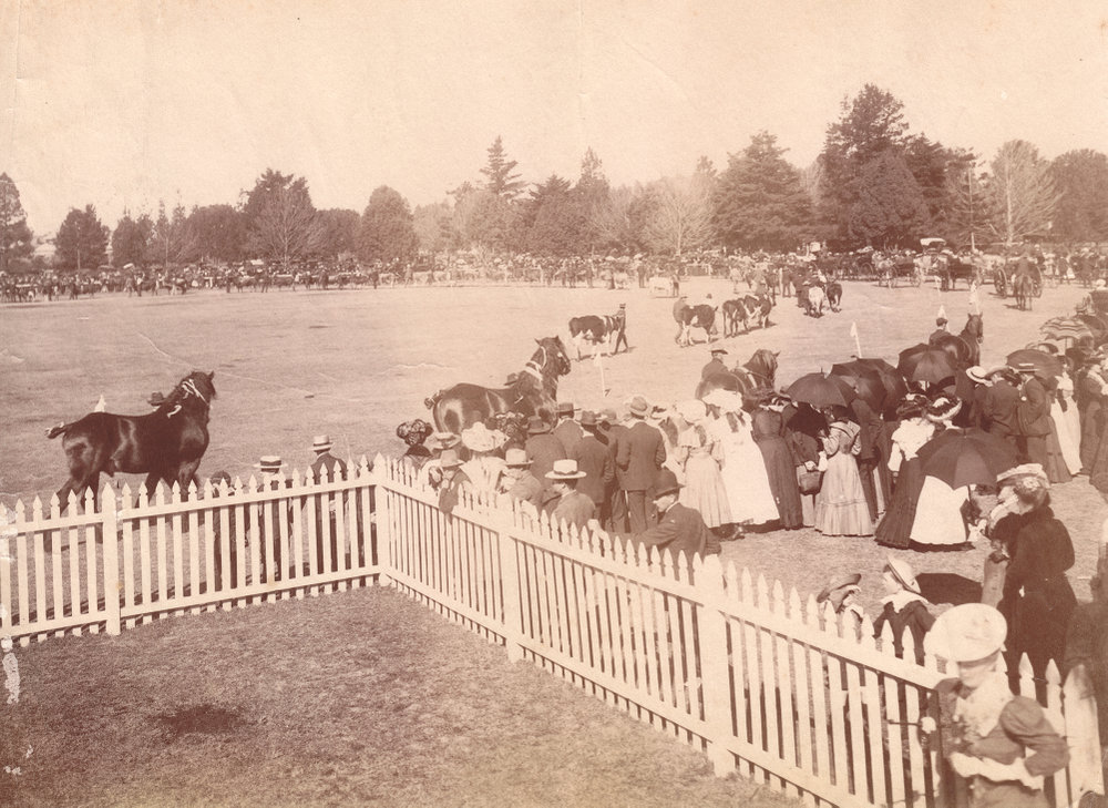 Royal Agricultural Show, Toowoomba, 1905