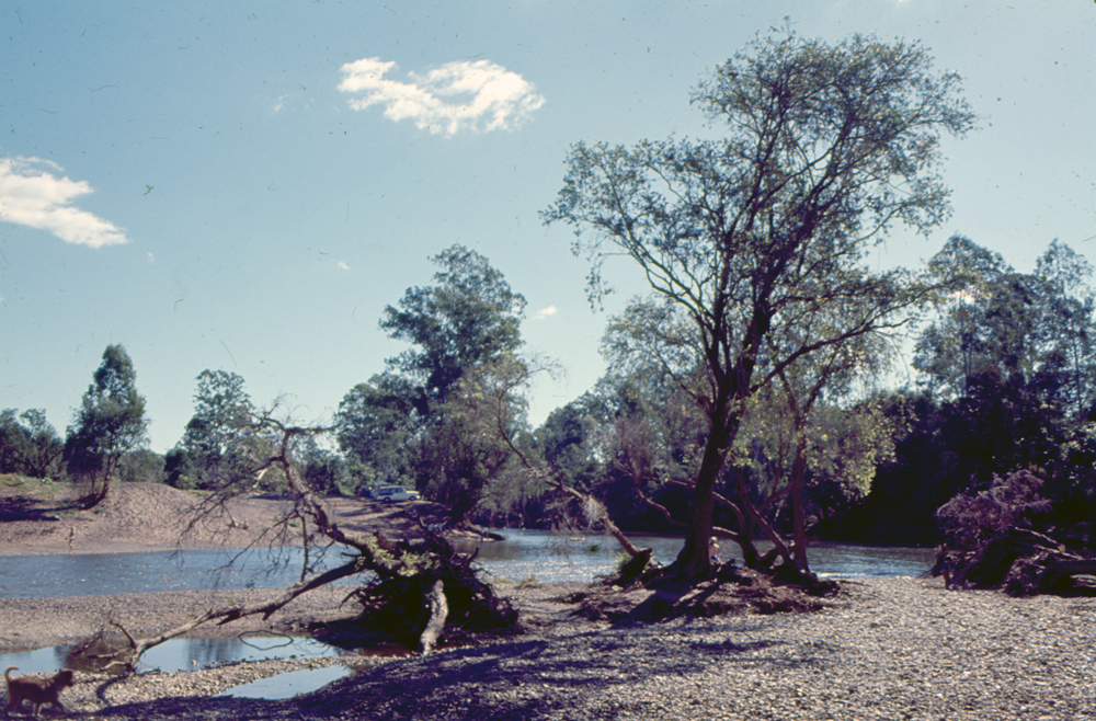 Colleges Crossing, on Mount (Mt) Crosby Road, Chuwar, Ipswich, 1971