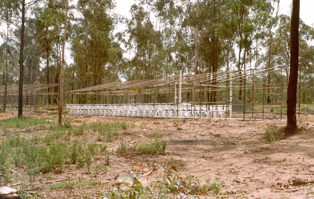 Construction of toilet block for Scout Jamboree held at Collingwood Park, Ipswich, 1982