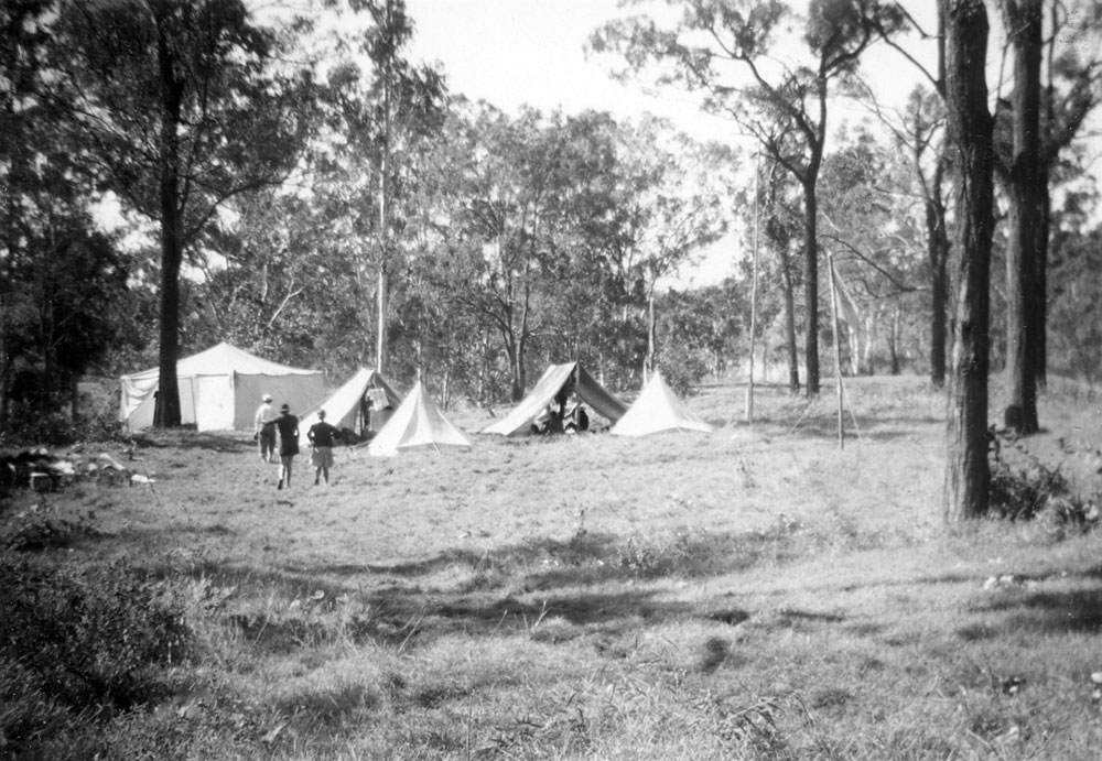 Girl guides from Ipswich and Rosewood at Allowah Scout Camp, Chuwar, Ipswich, 1956
