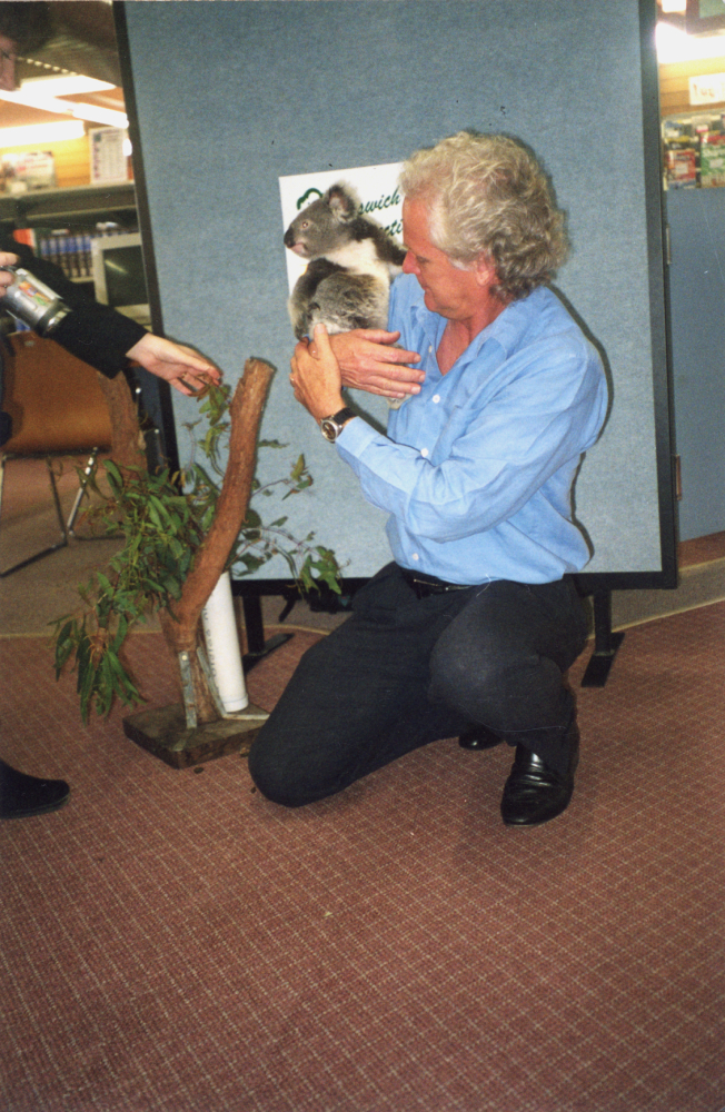 Koalas at Redbank Plains Library, n.d.