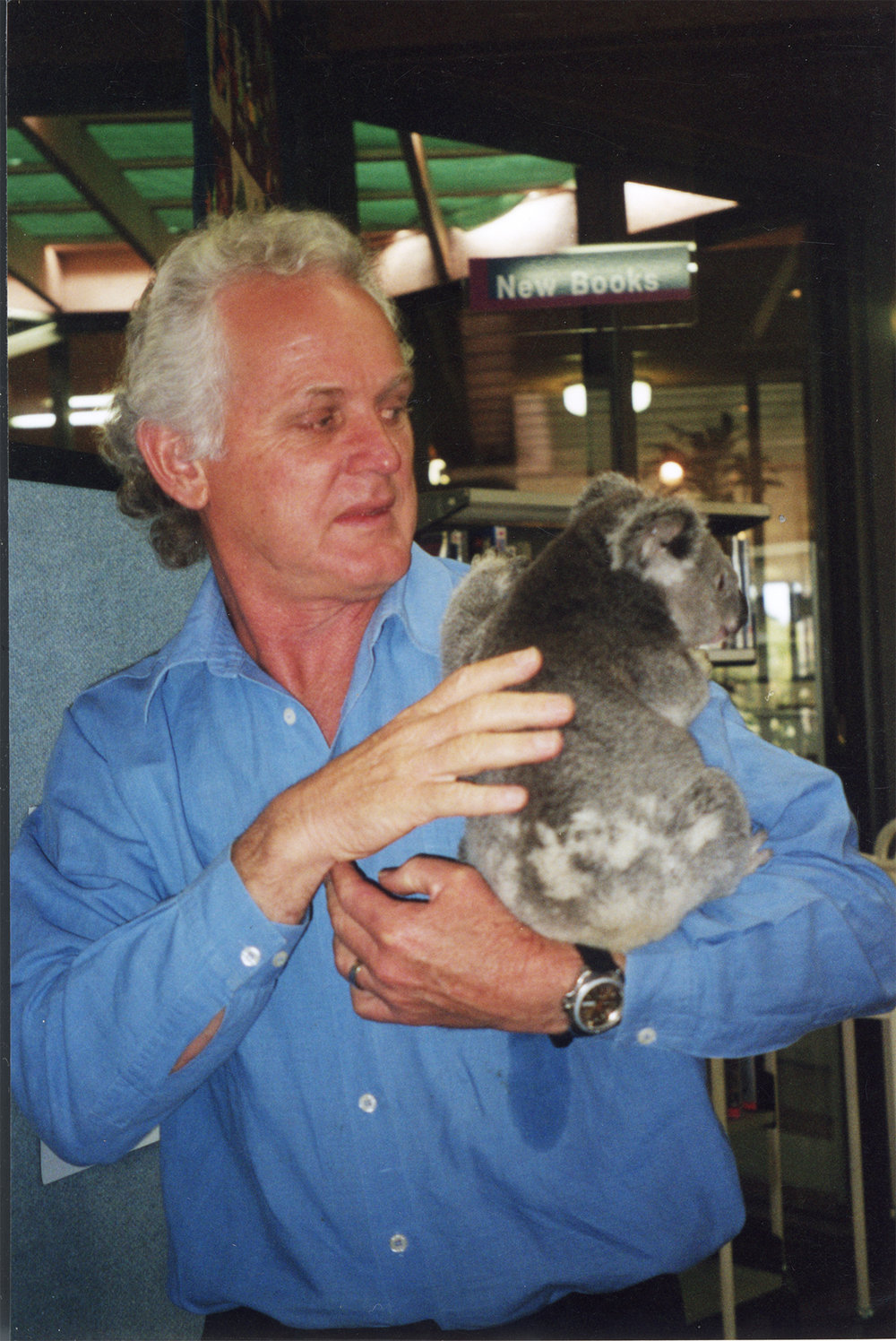 Koalas at Redbank Plains Library, n.d.