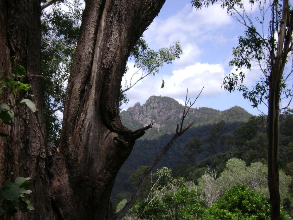 Flinders Peak - A Peek at Flinders