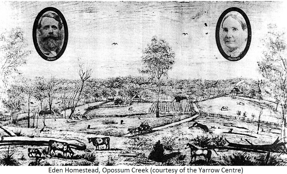 Eden Homestead Sketch