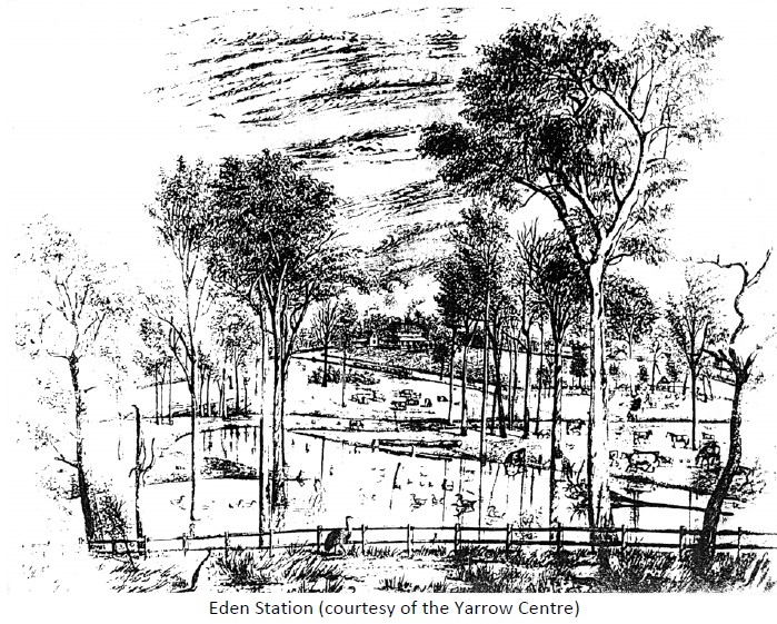 Eden Homestead Sketch