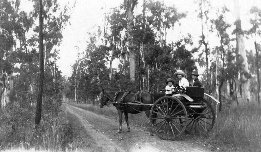 People in horse and buggy at back of Bundamba, Ipswich, 1910s