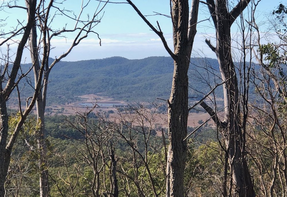 Dalys Lagoon, Ripley,  2020