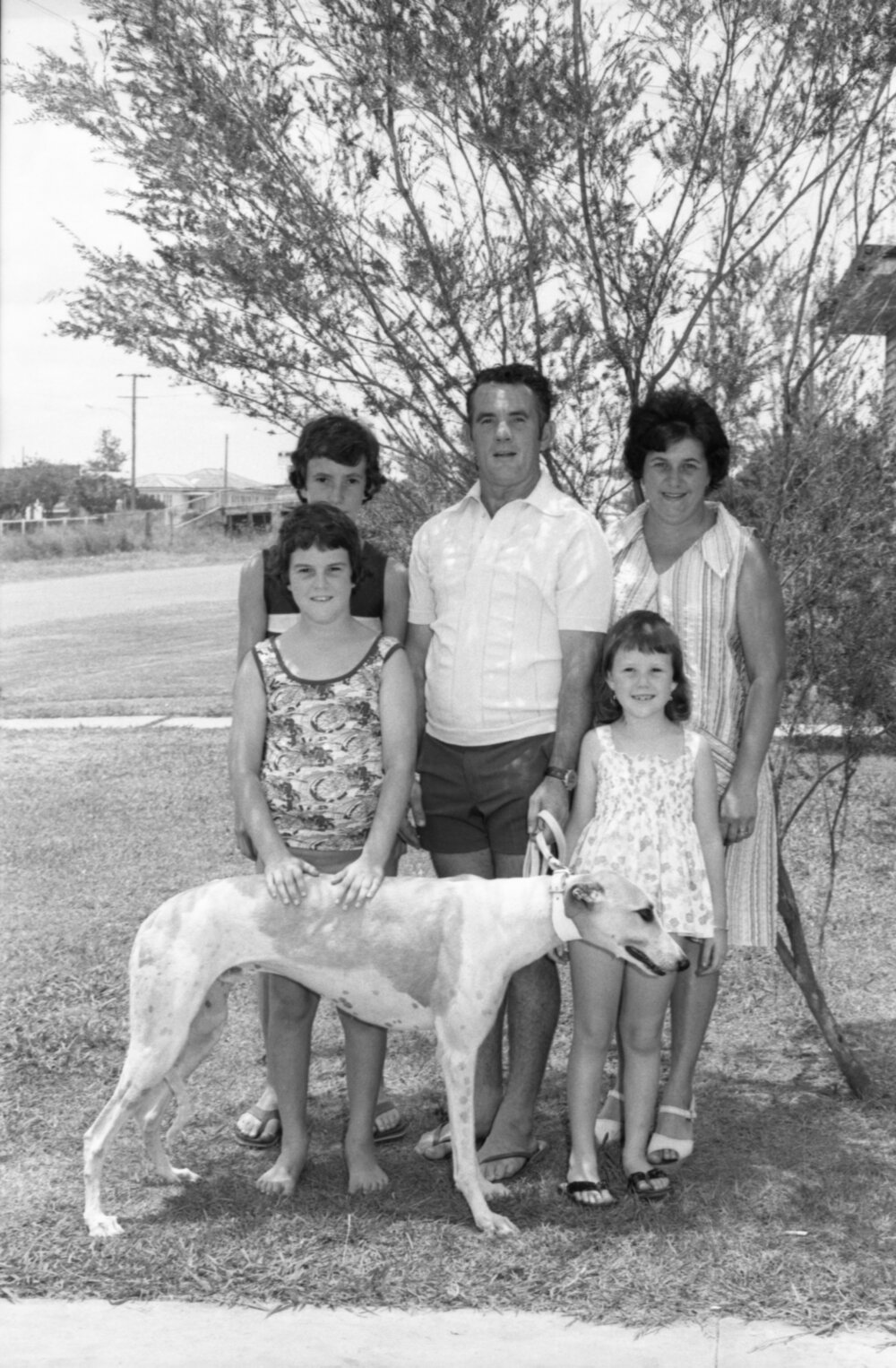 Family with greyhound dog, Ipswich, Queensland, January 1978