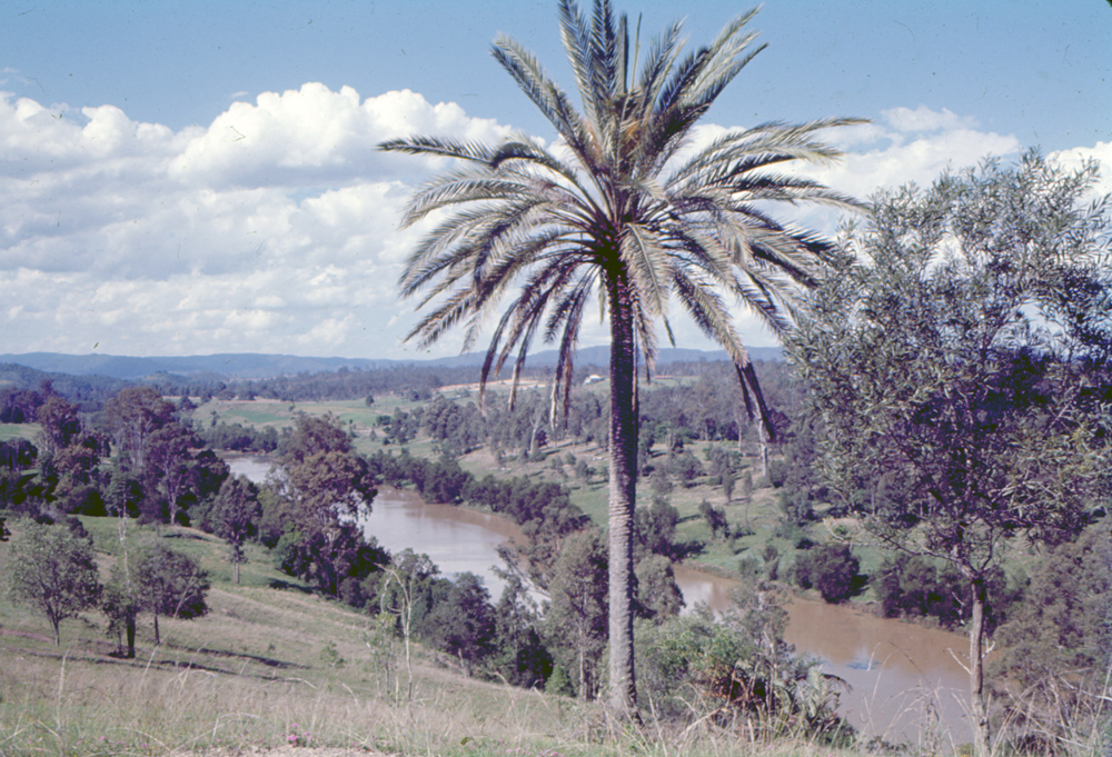 Unidentified stretch of Brisbane River, Ipswich, 1970