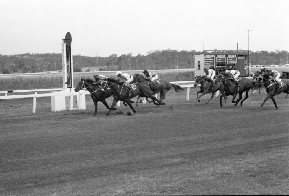 Horses Racing at Ipswich Turf Club, Bundamba, Ipswich, January 1978