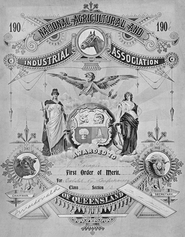 National Agricultural and Industrial Association certificate awarded to Ipswich lolly makers, Treagle, Brisbane, 1906