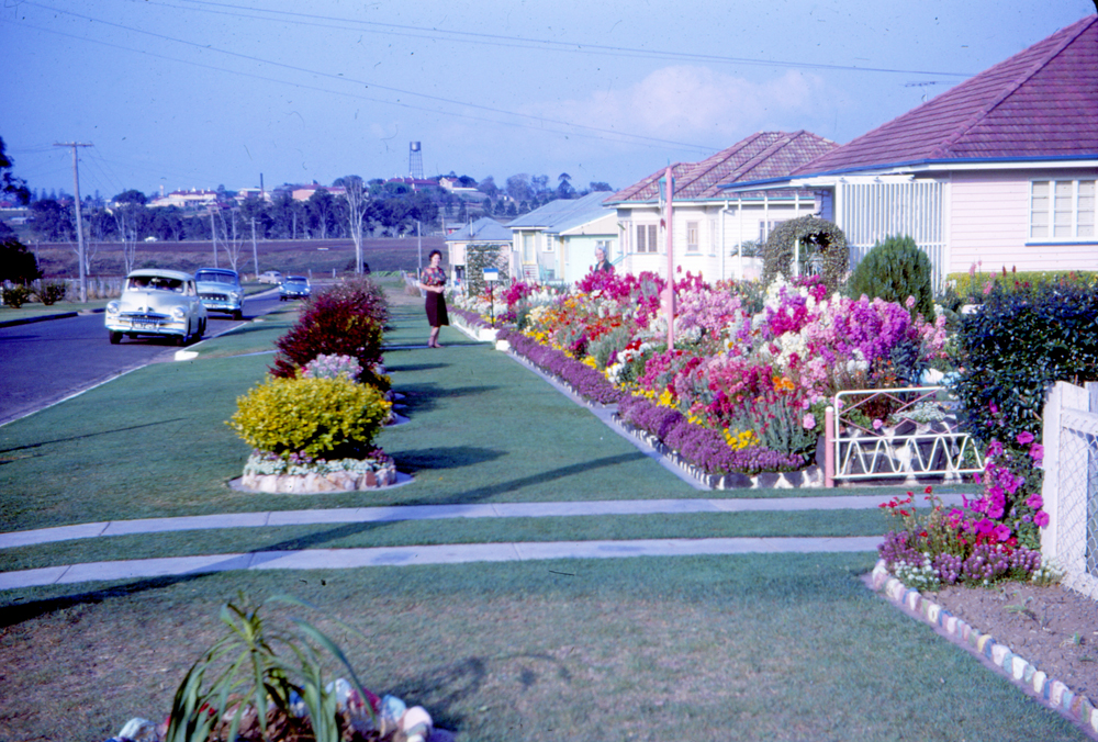 Gardens in Coyne Street, One Mile, Ipswich, 1963